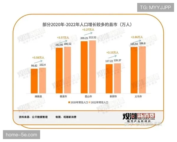 农村与基层市场成为新增长空间 适应性营销策略挖掘县域消费潜力