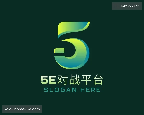 关于5e对战官网